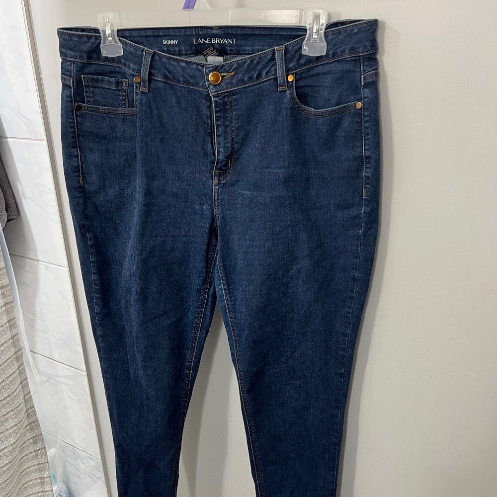 Lane Bryant Skinny Jeans